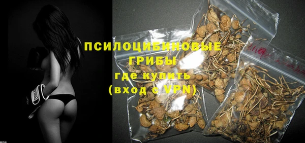 ПСИЛОЦИБИНОВЫЕ ГРИБЫ Медвежьегорск