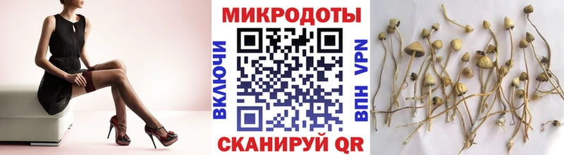 купить сайты Благодарный Галлюциногенные грибы Cubensis