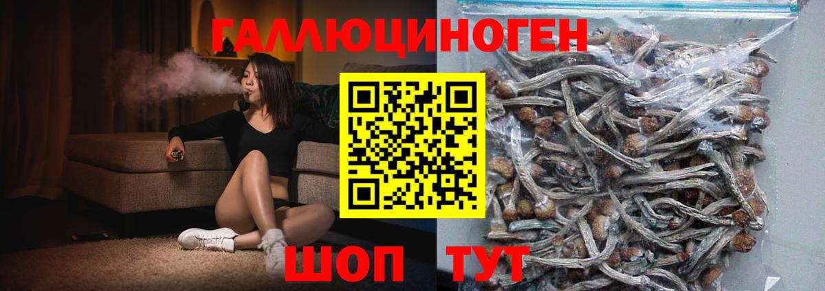 Псилоцибиновые грибы ЛСД Благодарный