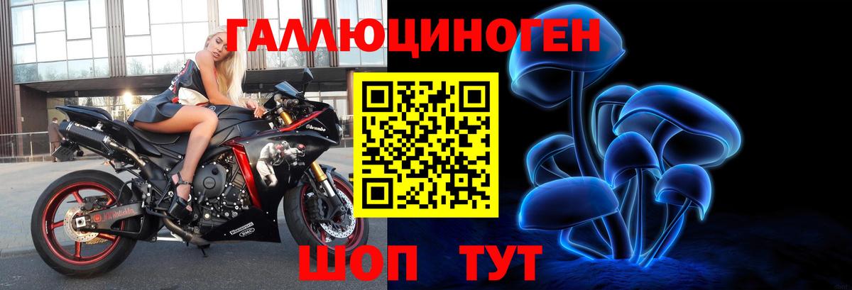 Галлюциногенные грибы Cubensis  Благодарный  Галлюциногенные грибы Magic Shrooms 