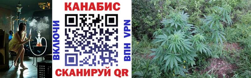 сколько стоит  Благодарный  Каннабис Ganja 