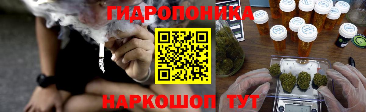 Шишки марихуана сатива Благодарный